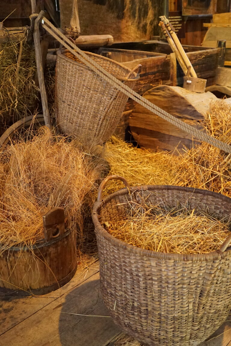 Gallery image 12
