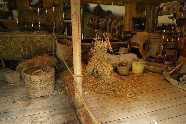 Gallery image 11