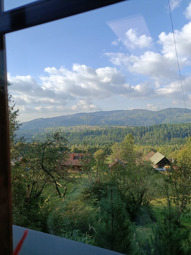 Gallery image 26