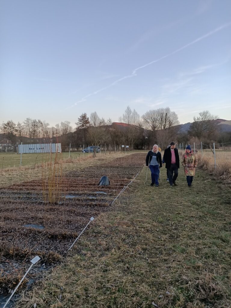 Gallery image 14