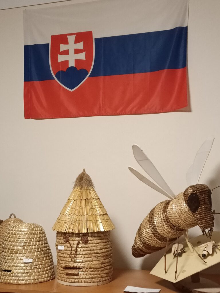 Gallery image 10